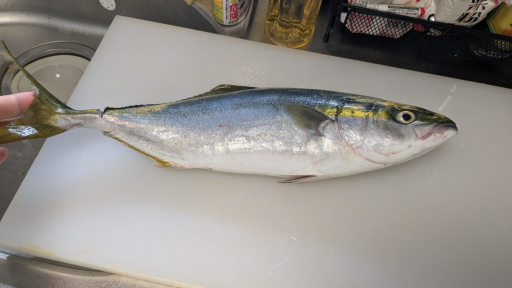 村おこしボランティア【保戸島コース】での活動の様子