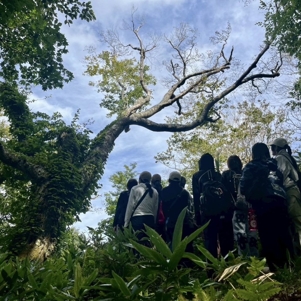 村おこしボランティア【奥尻島コース】での活動の様子