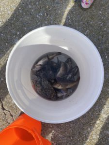 村おこしボランティア【奥尻島コース】での活動の様子