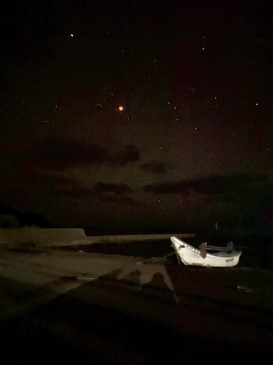 村おこしボランティア【奥尻島コース】での活動の様子