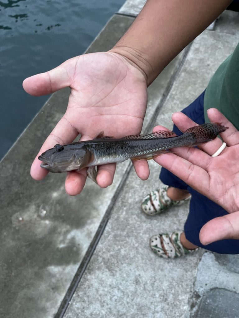 村おこしボランティア【大槌コース】での活動の様子