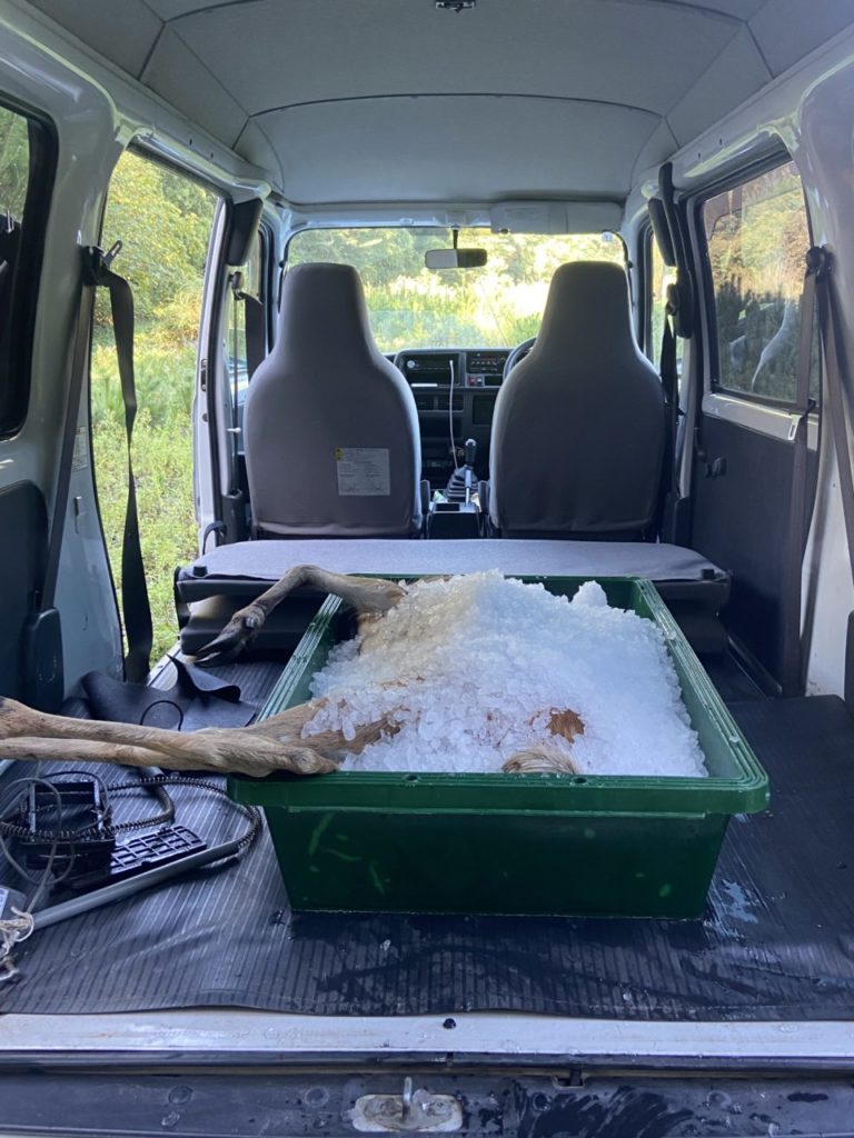 村おこしボランティア【大槌コース】での活動の様子