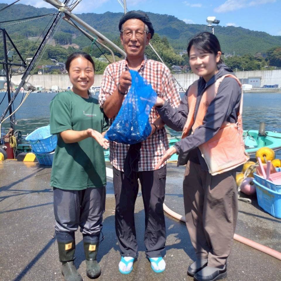 村おこしボランティア【三陸漁場コース】での活動の様子