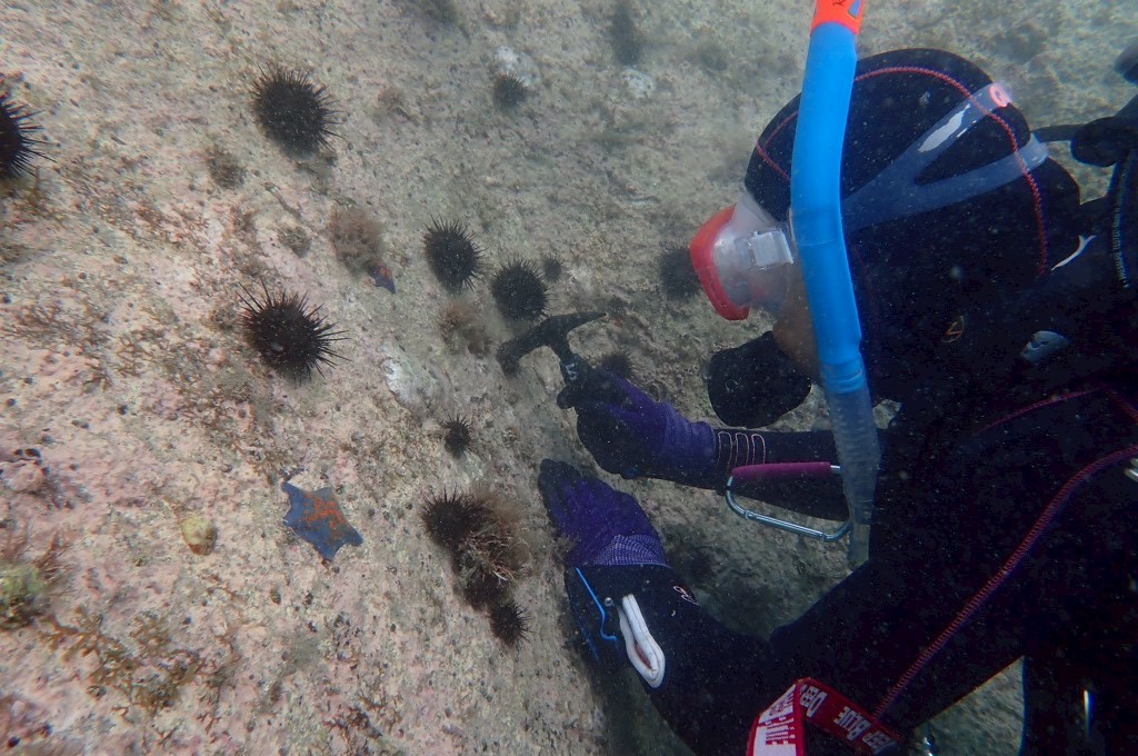村おこしボランティア【三陸漁場コース】での活動の様子
