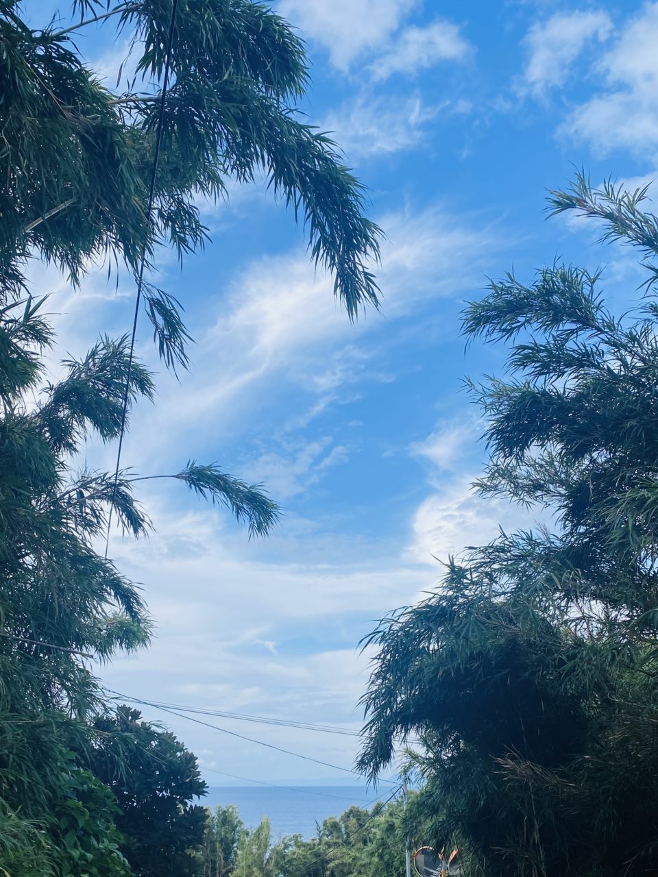 村おこしボランティア【さつま竹島コース】での活動の様子