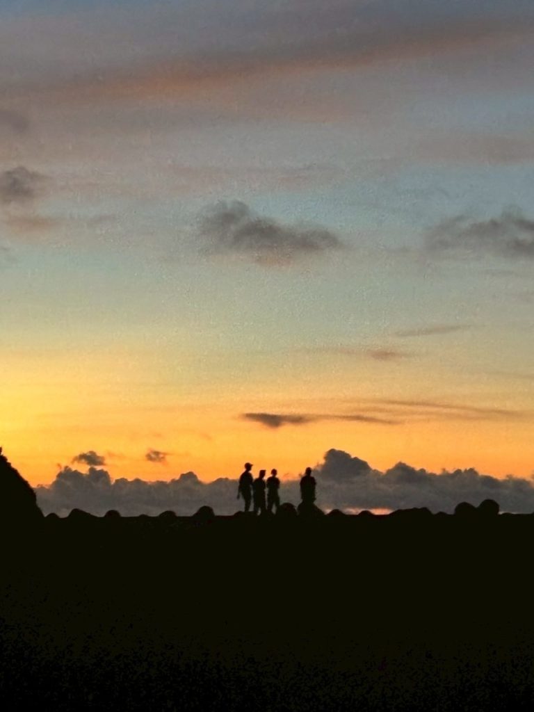 村おこしボランティア【さつま竹島コース】での活動の様子