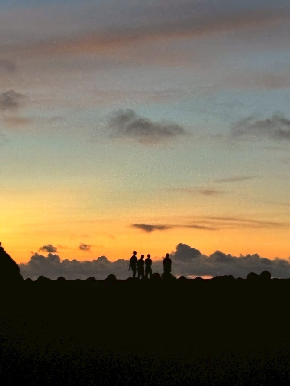 村おこしボランティア【さつま竹島コース】での活動の様子