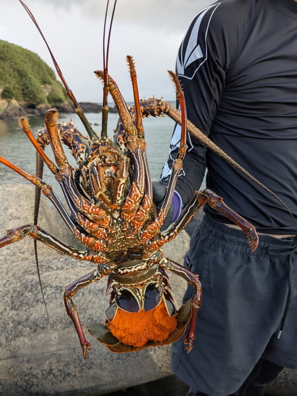 村おこしボランティア【さつま竹島コース】での活動の様子