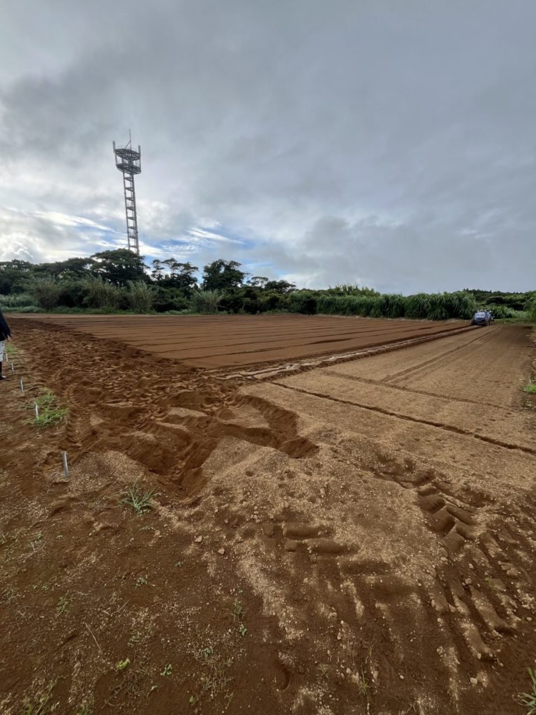 村おこしボランティア【種子島コース】での活動の様子