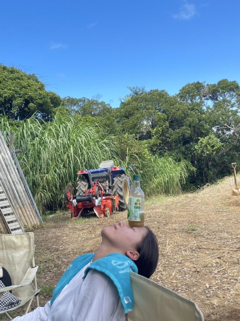 村おこしボランティア【種子島コース】での活動の様子