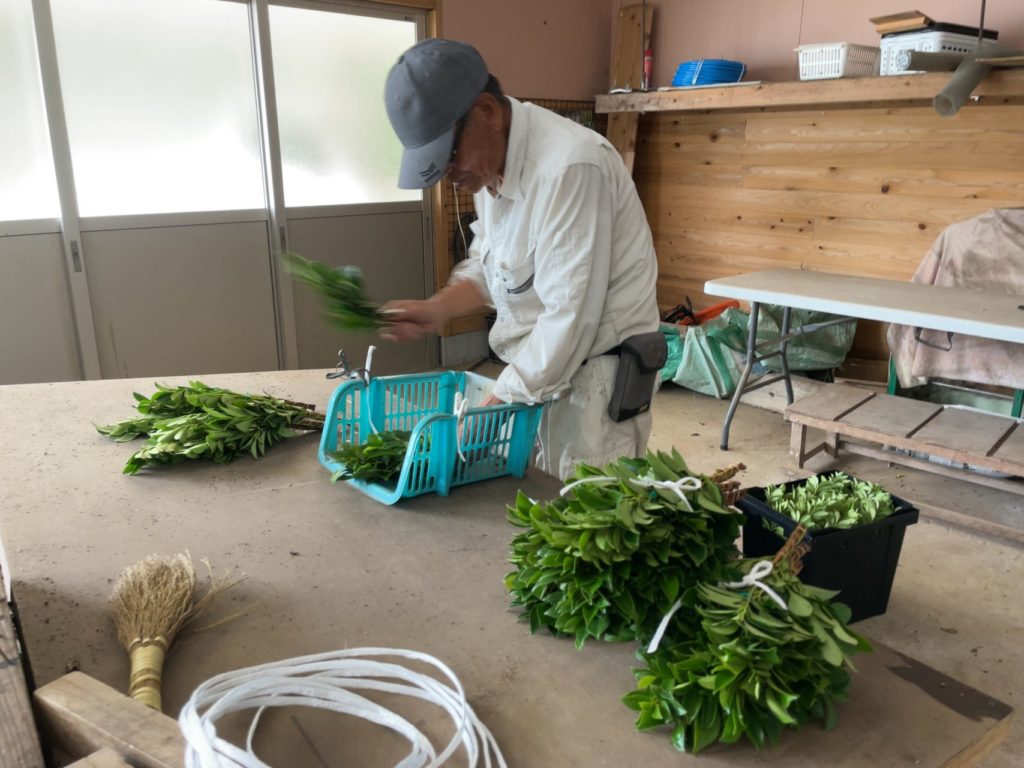 村おこしボランティア【種子島コース】での活動の様子