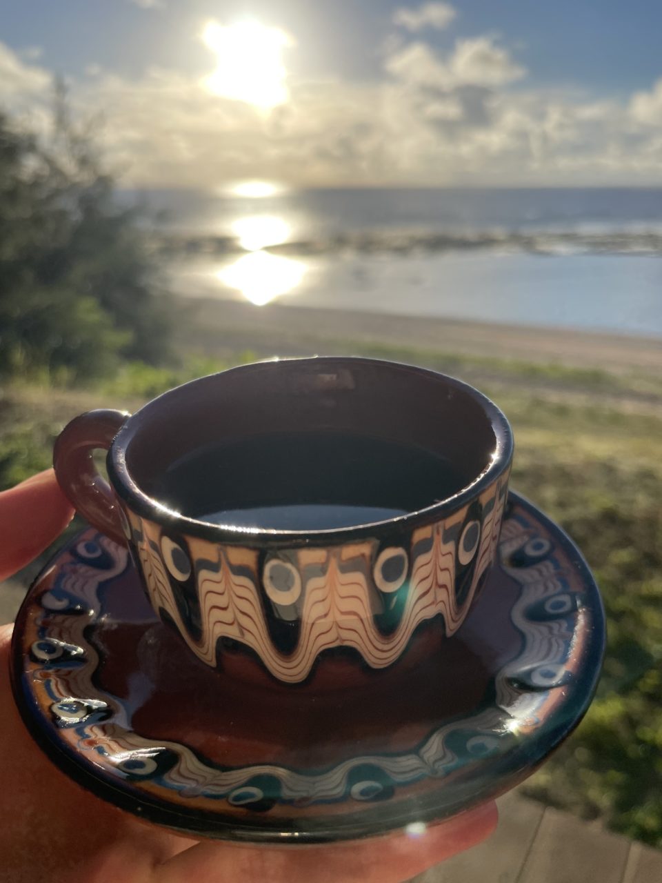 村おこしボランティア【徳之島コース】での活動の様子