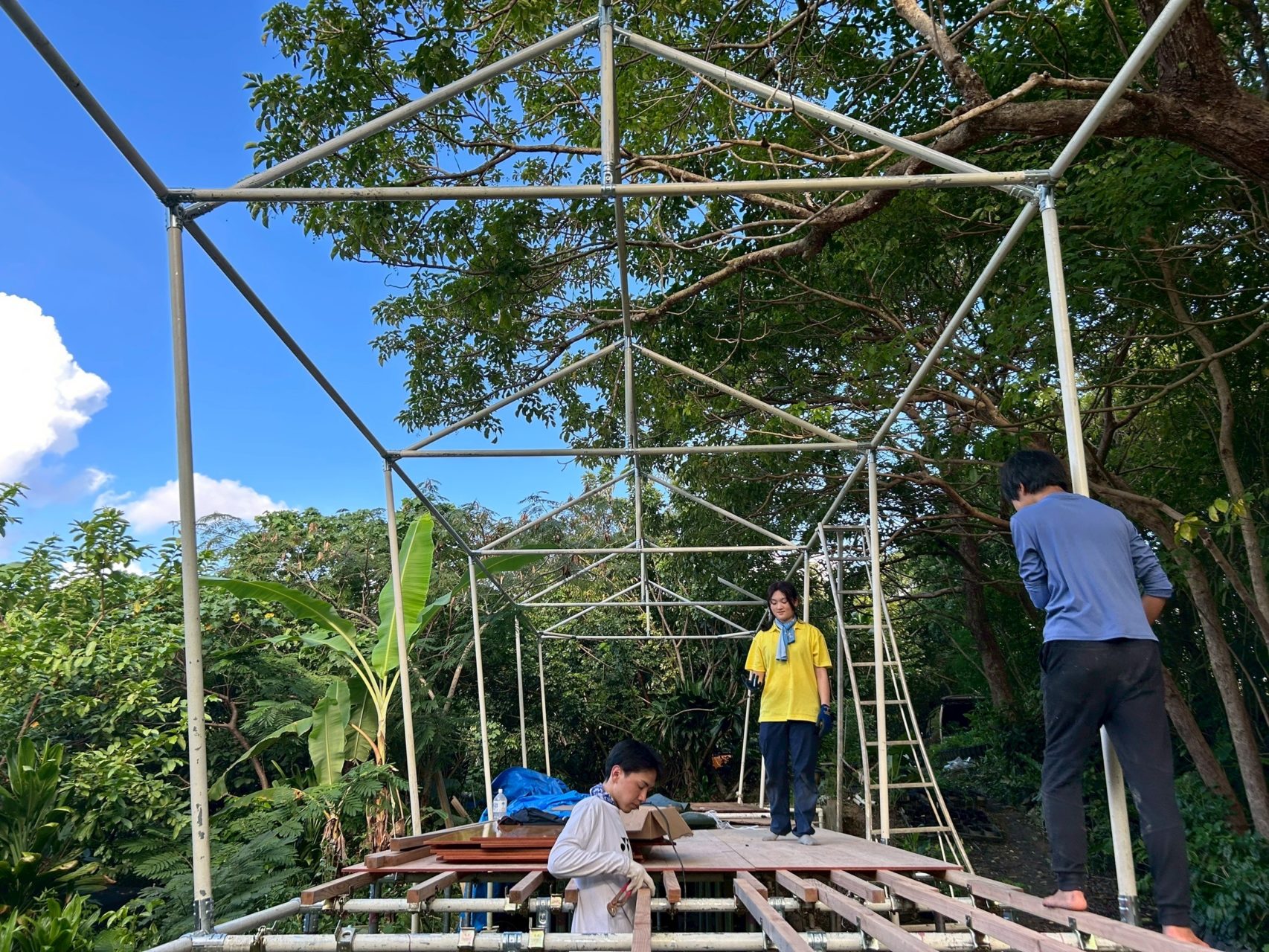 村おこしボランティア【徳之島コース】での活動の様子