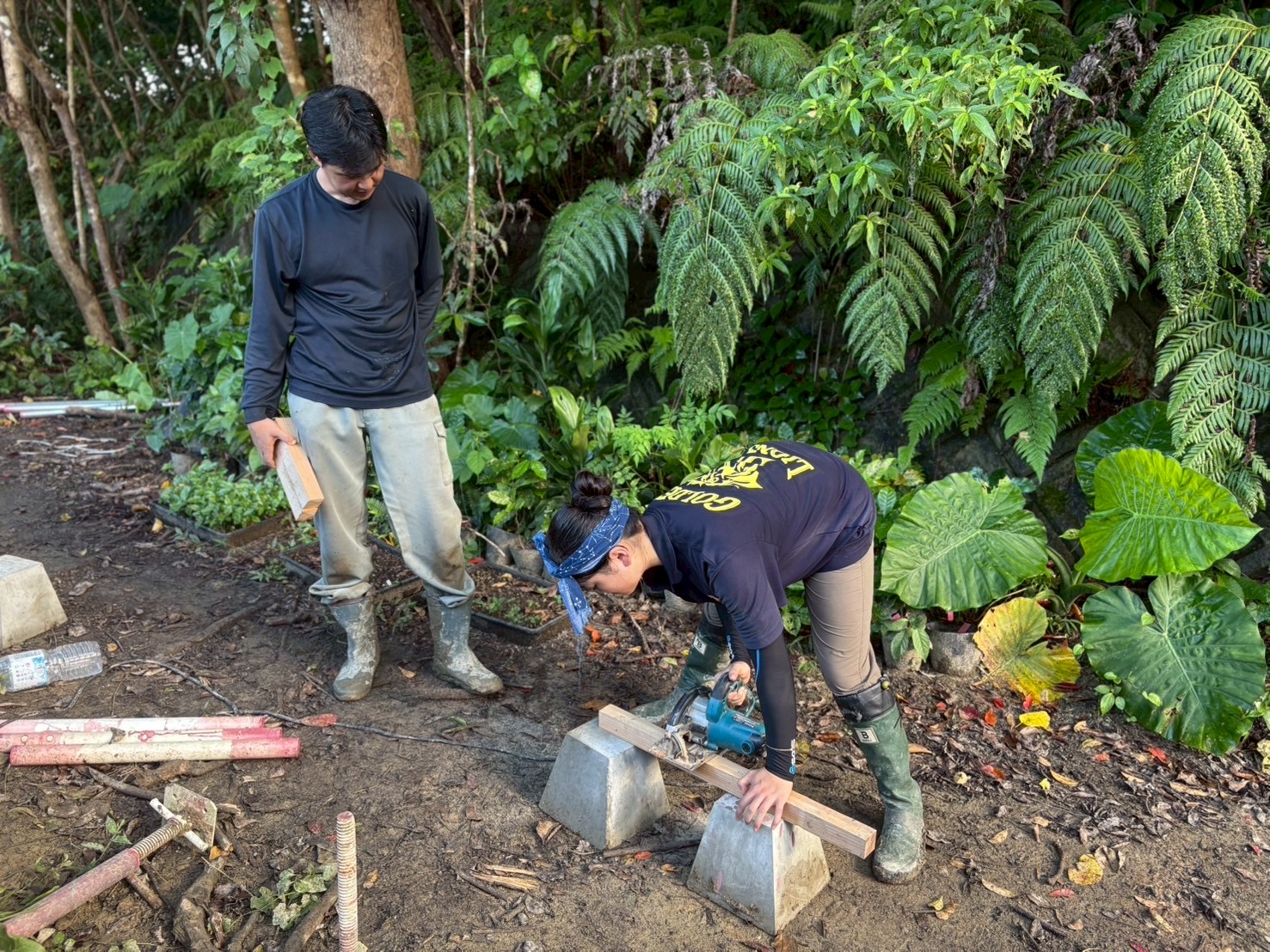村おこしボランティア【徳之島コース】での活動の様子