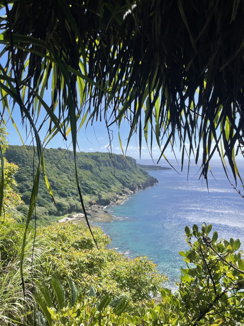 村おこしボランティア【徳之島コース】での活動の様子