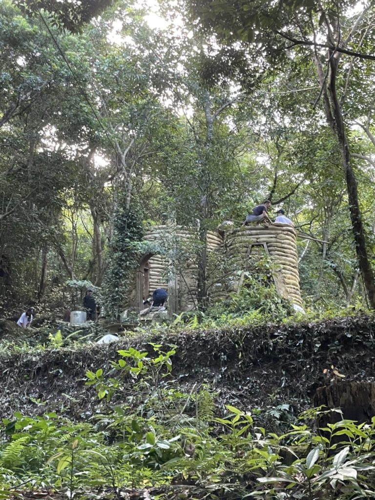 村おこしボランティア【徳之島コース】での活動の様子