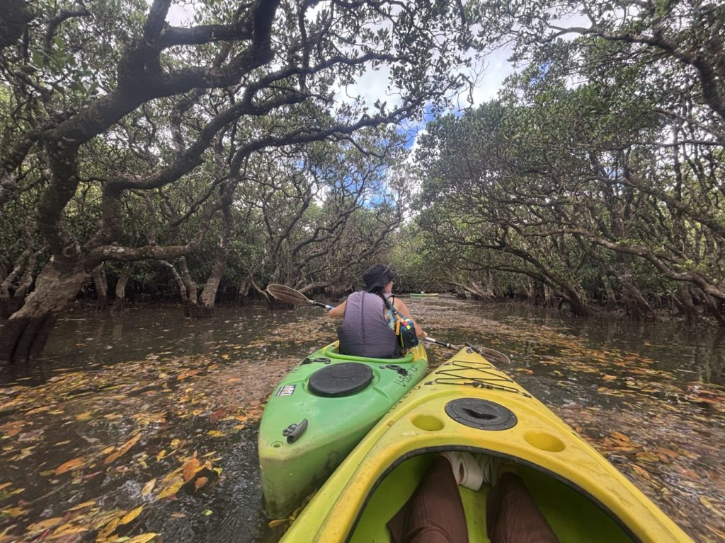 村おこしボランティア【徳之島コース】での活動の様子