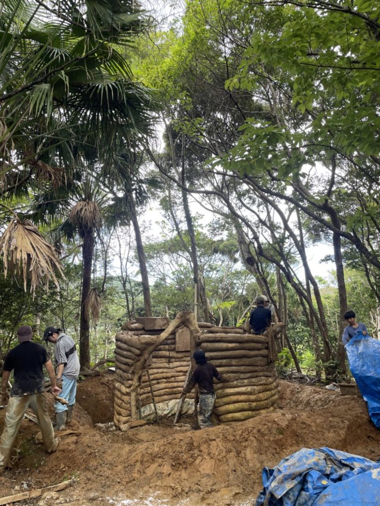 村おこしボランティア【徳之島コース】での活動の様子