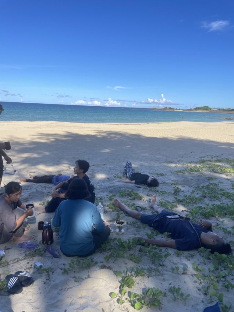 村おこしボランティア【徳之島コース】での活動の様子