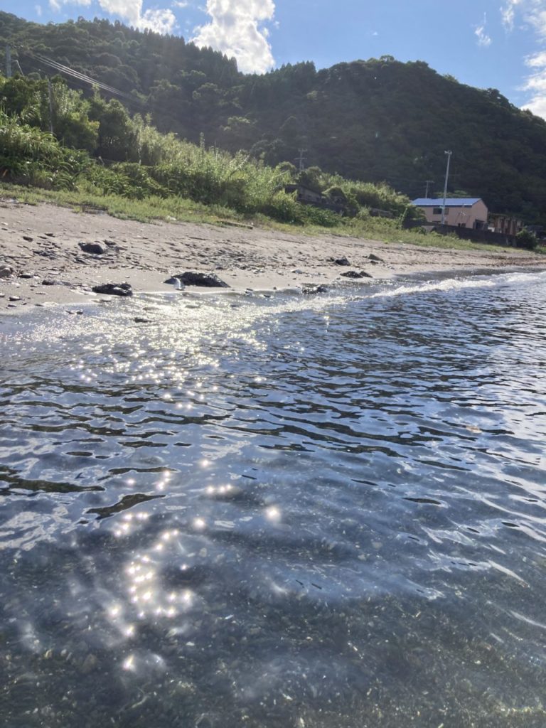 村おこしボランティア【屋形島コース】での活動の様子