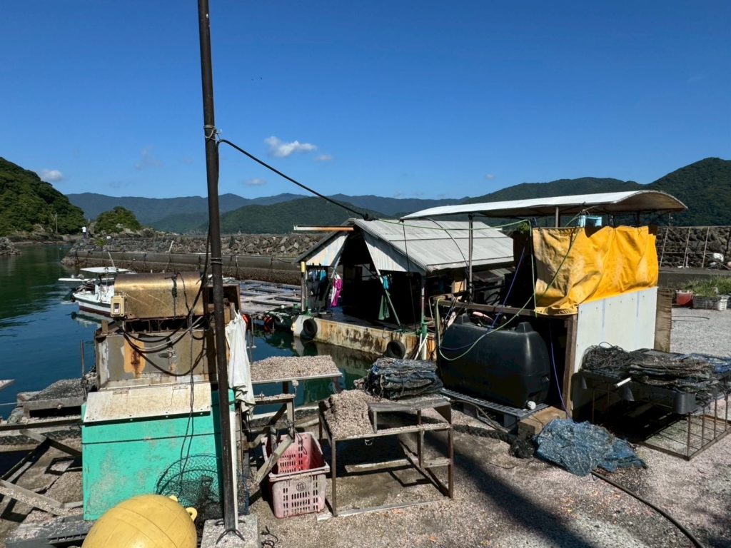 村おこしボランティア【屋形島コース】での活動の様子