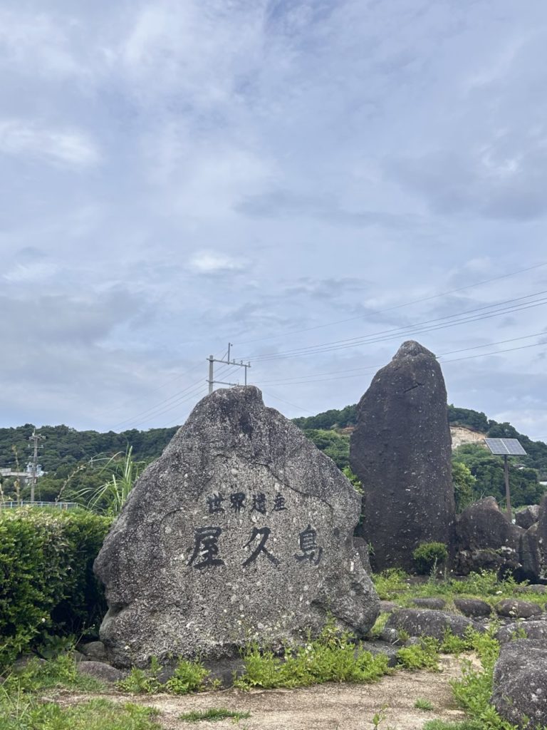 村おこしボランティア【屋久島コース】での活動の様子