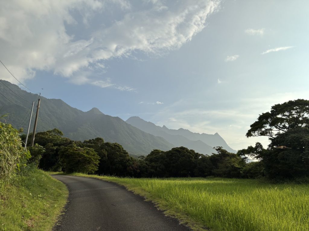 村おこしボランティア【屋久島コース】での活動の様子