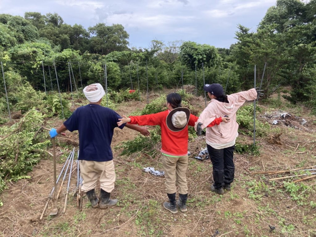 村おこしボランティア【屋久島コース】での活動の様子