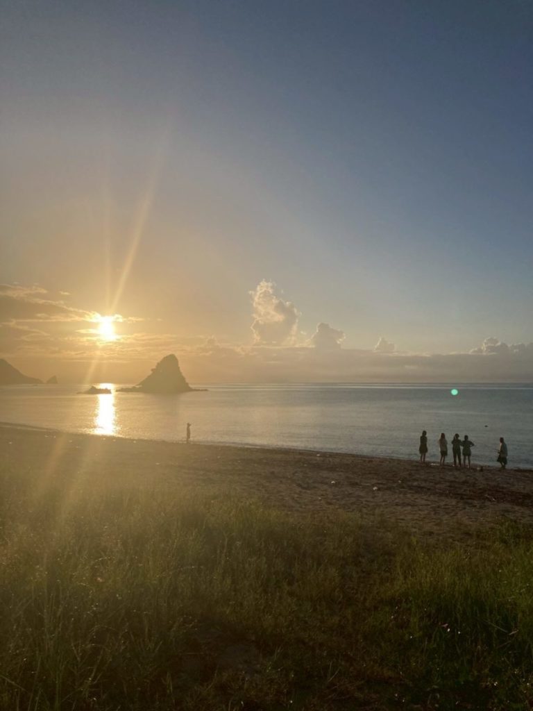 村おこしボランティア【沖縄やんばるコース】での活動の様子