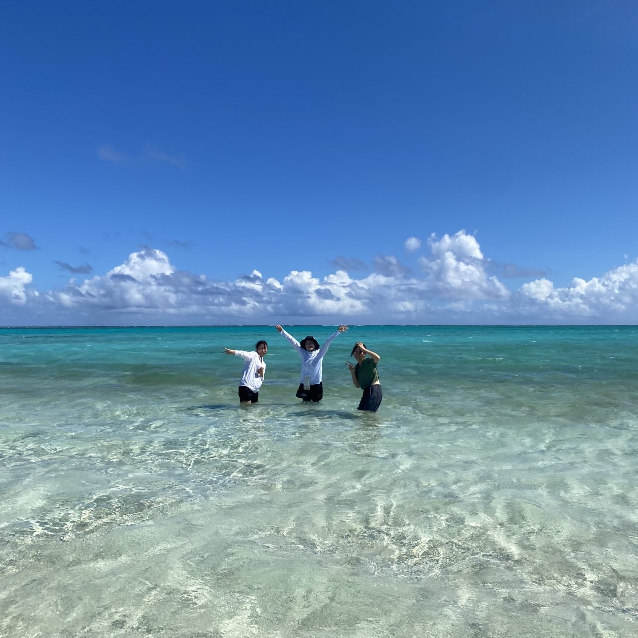 村おこしボランティア【与論島コース】での活動の様子