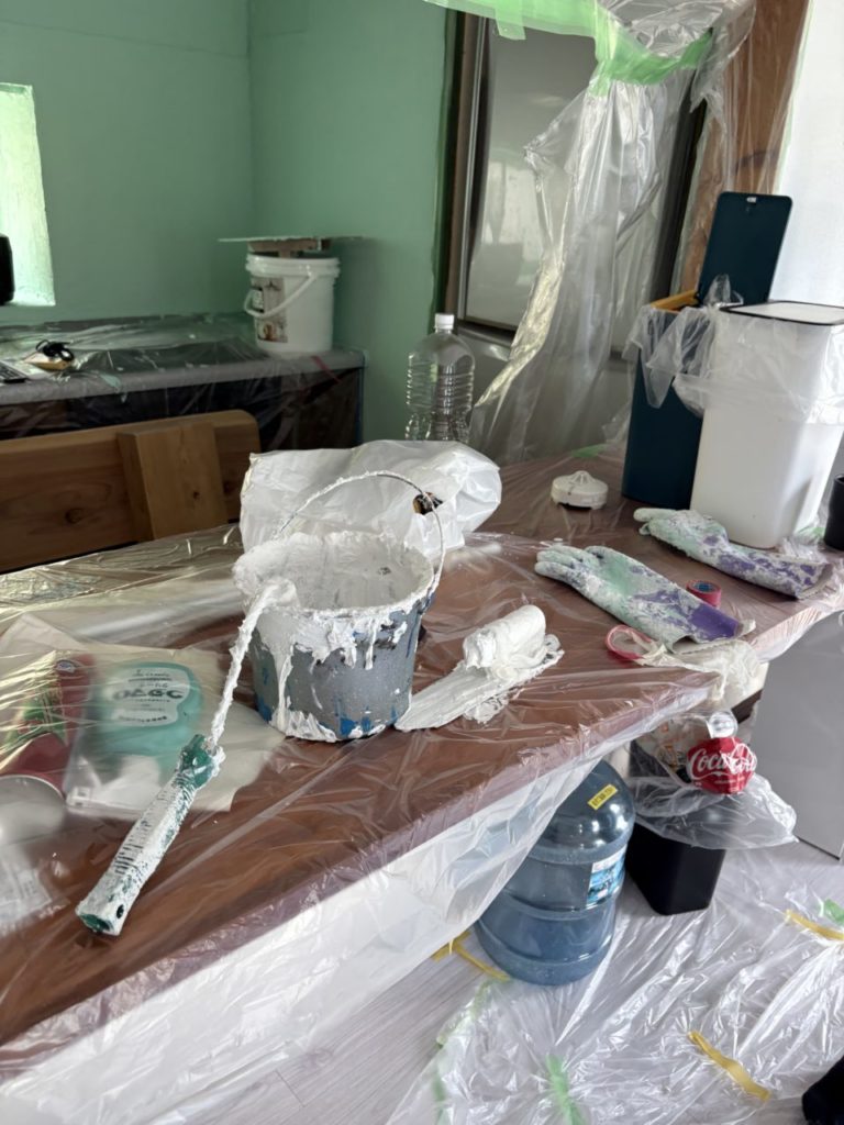 村おこしボランティア【与論島コース】での活動の様子