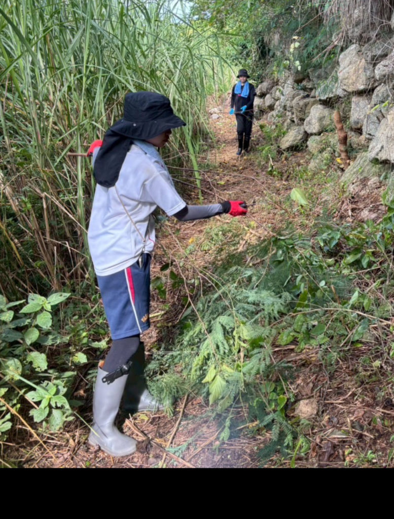 村おこしボランティア【与論島コース】での活動の様子