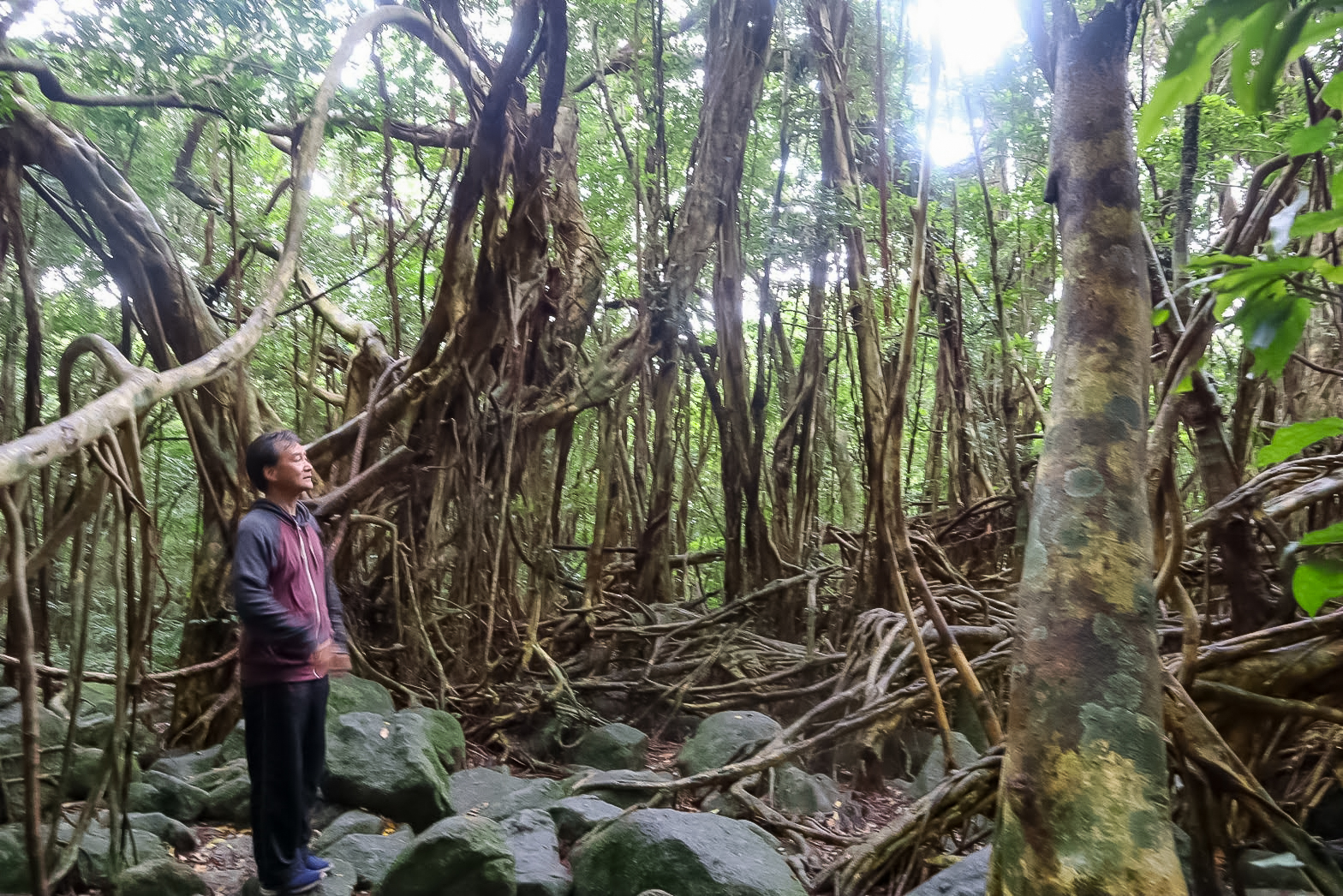 屋久島の森に佇む世話人のミッキーさん