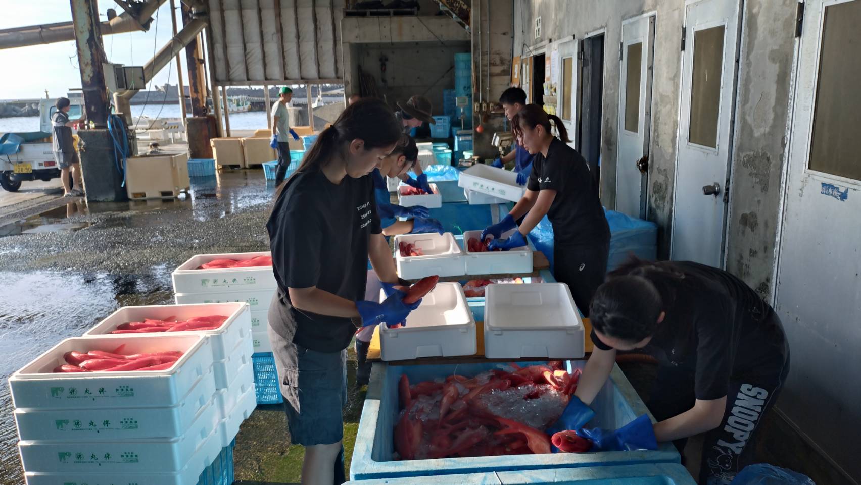 市場のお手伝い