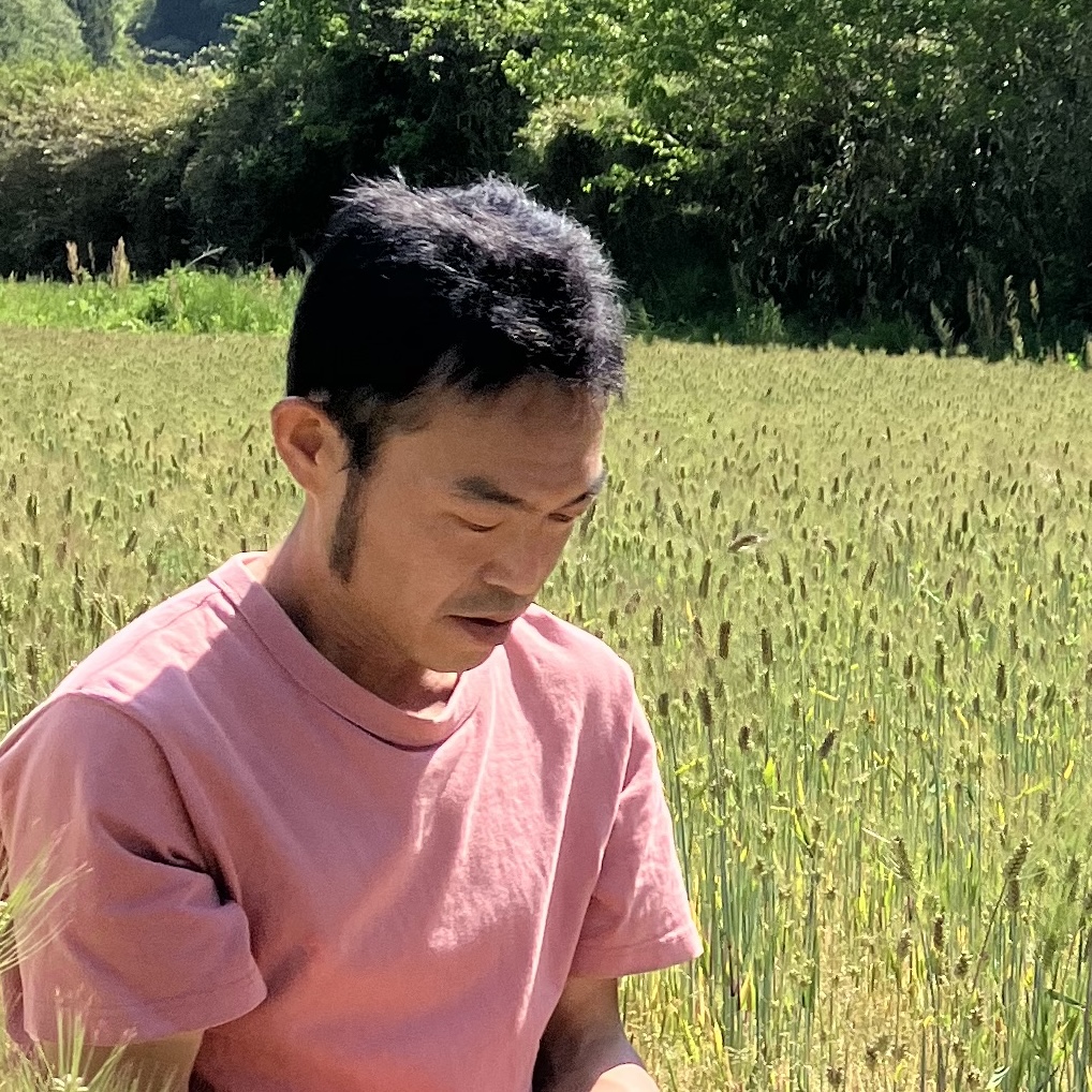 麦畑で作業をする宮坂大智の写真