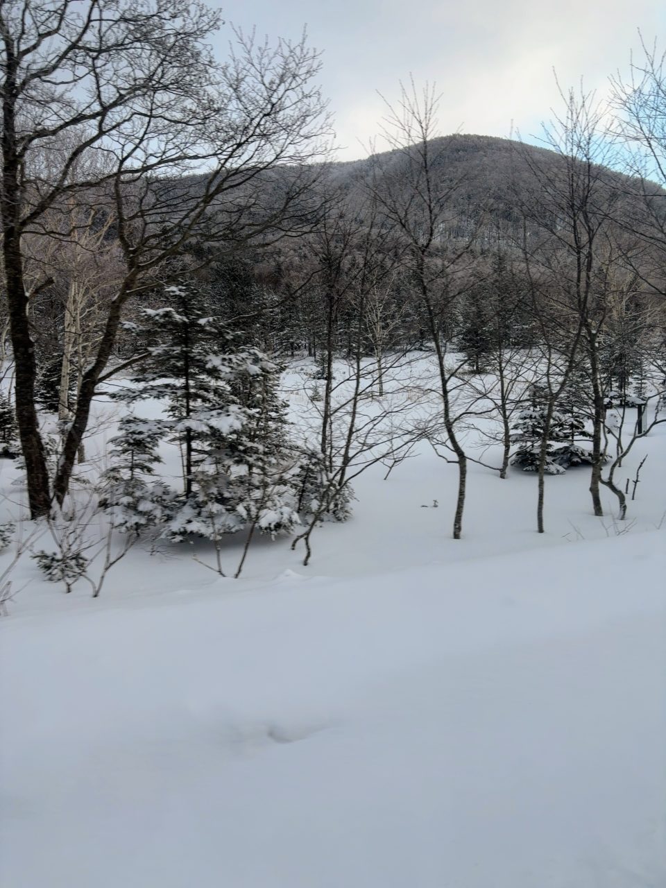 村おこしボランティア【然別湖コタンコース】での活動の様子