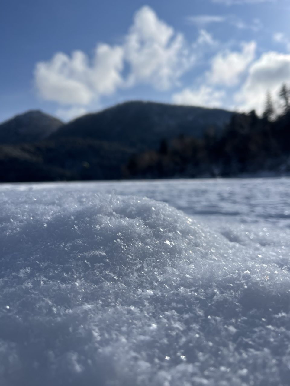 村おこしボランティア【然別湖コタンコース】での活動の様子