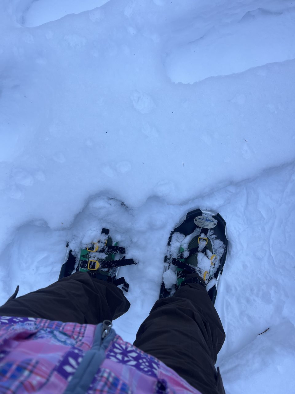 村おこしボランティア【然別湖コタンコース】での活動の様子