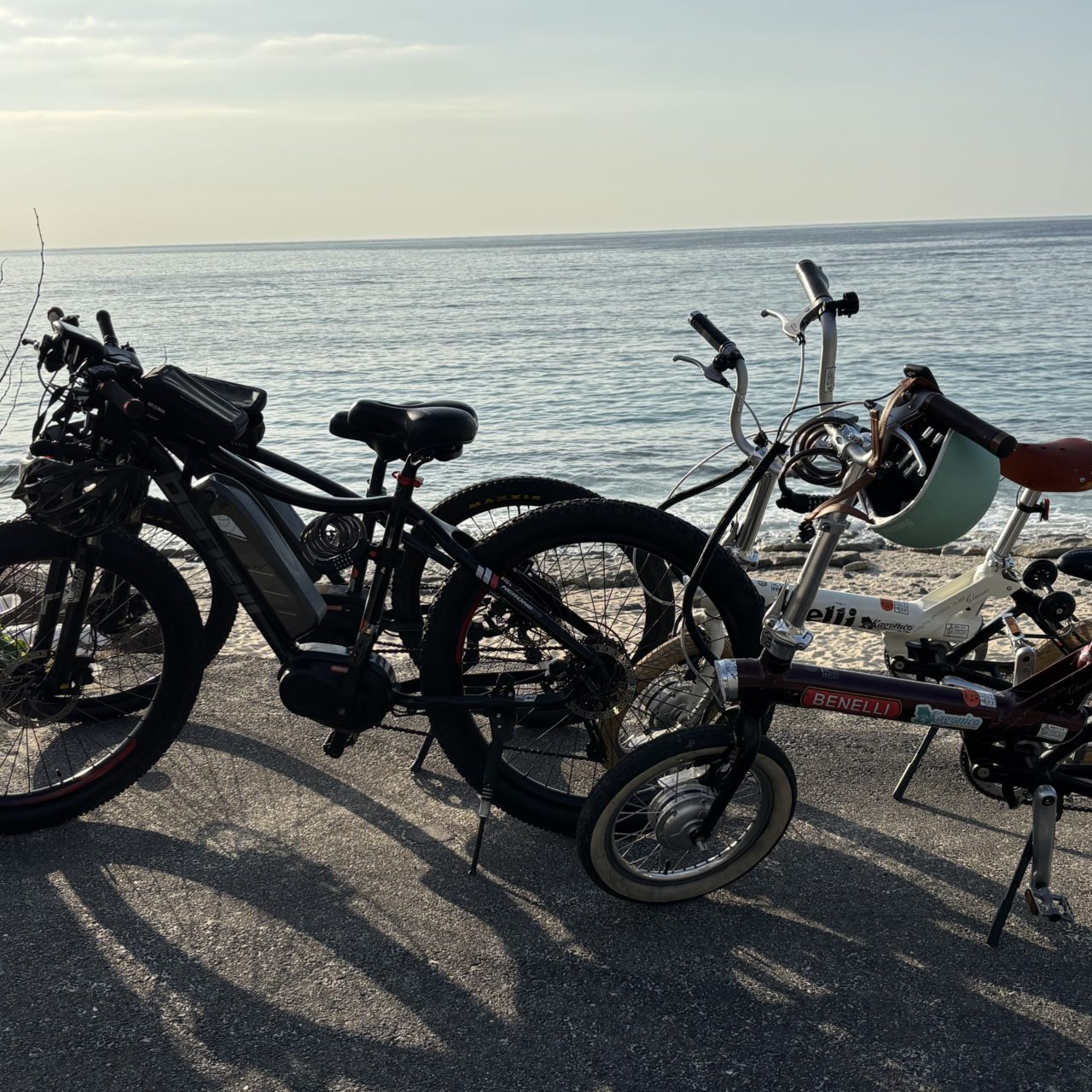 村おこしボランティア【奄美大島「100年先の未来へ」コース】での活動の様子