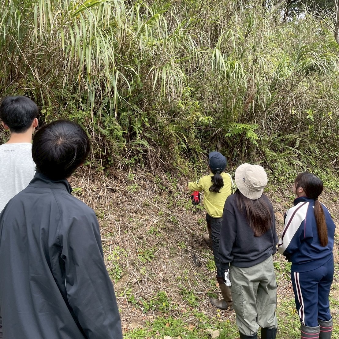 村おこしボランティア【奄美大島「100年先の未来へ」コース】での活動の様子