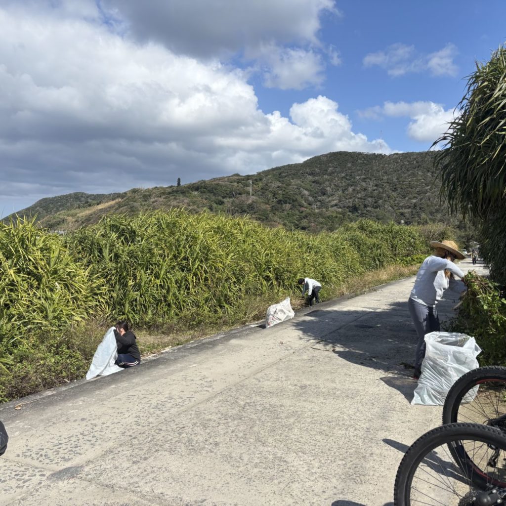 村おこしボランティア【奄美大島「100年先の未来へ」コース】での活動の様子