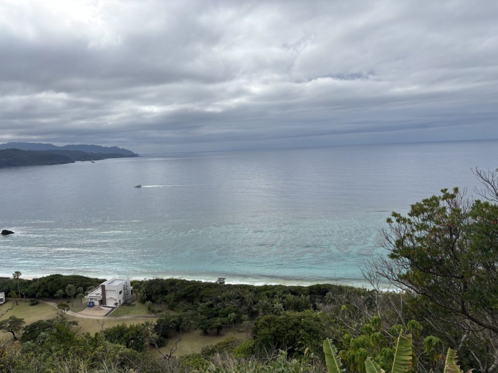 村おこしボランティア【奄美大島「100年先の未来へ」コース】での活動の様子