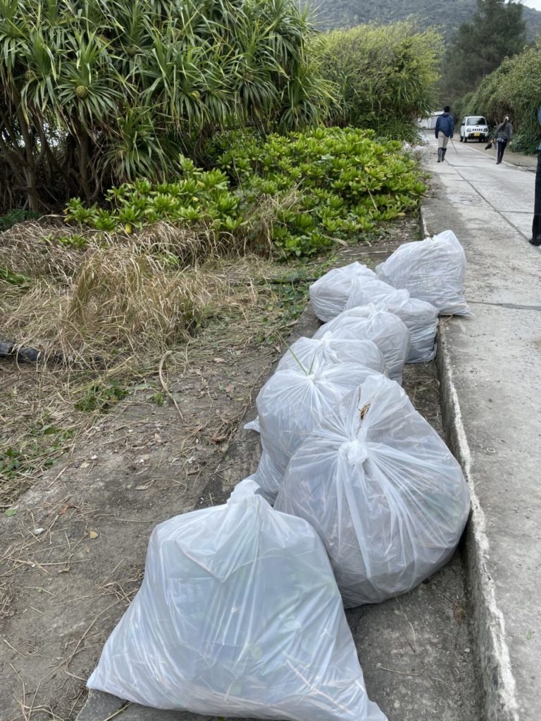 村おこしボランティア【奄美大島「100年先の未来へ」コース】での活動の様子