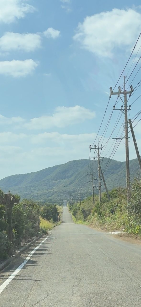 村おこしボランティア【奄美大島［北部］コース】での活動の様子