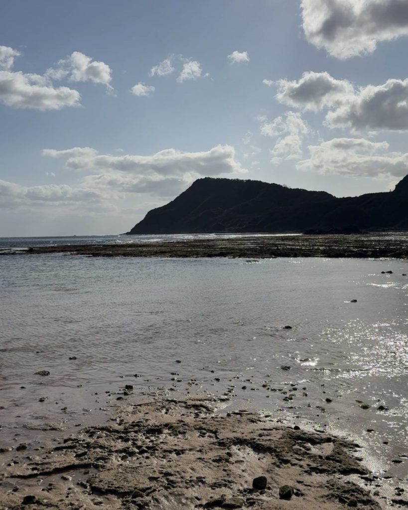 村おこしボランティア【奄美大島［北部］コース】での活動の様子