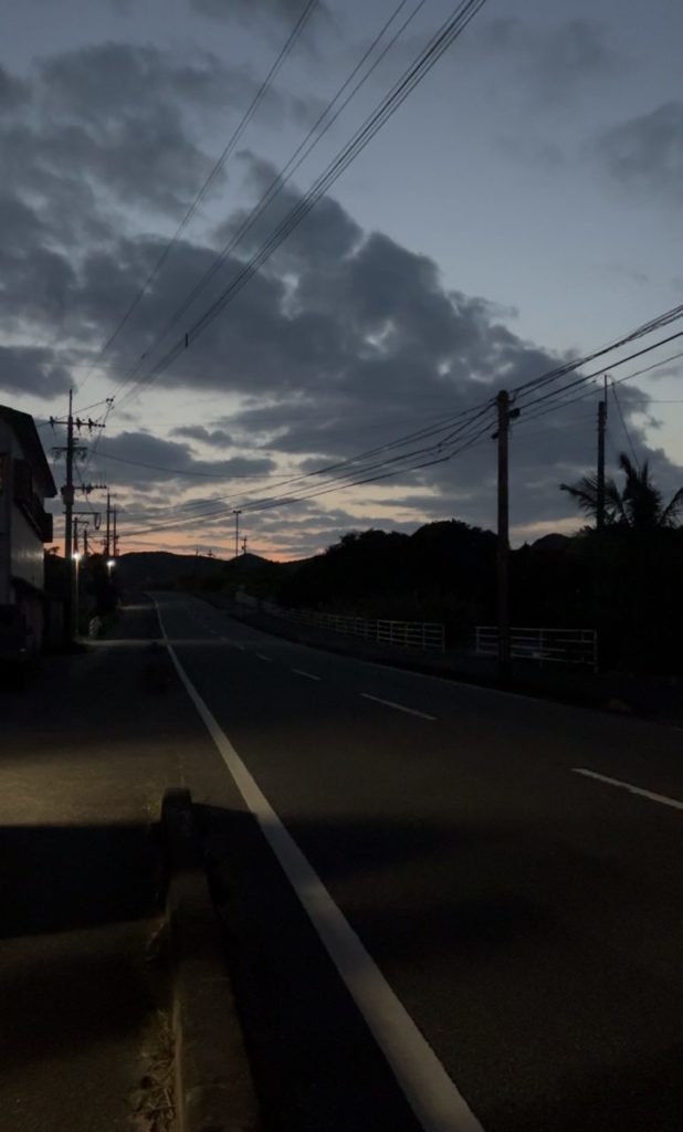 村おこしボランティア【奄美大島［北部］コース】での活動の様子