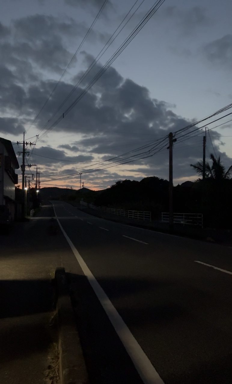 村おこしボランティア【奄美大島［北部］コース】での活動の様子