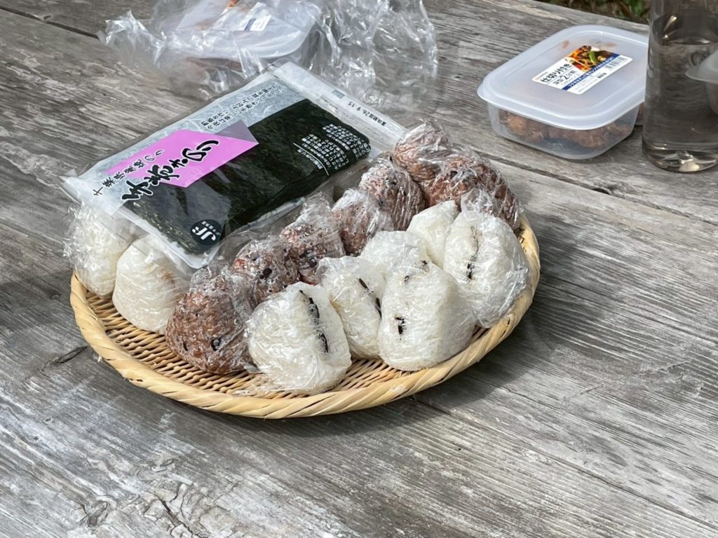 村おこしボランティア【長生郡コース】での活動の様子