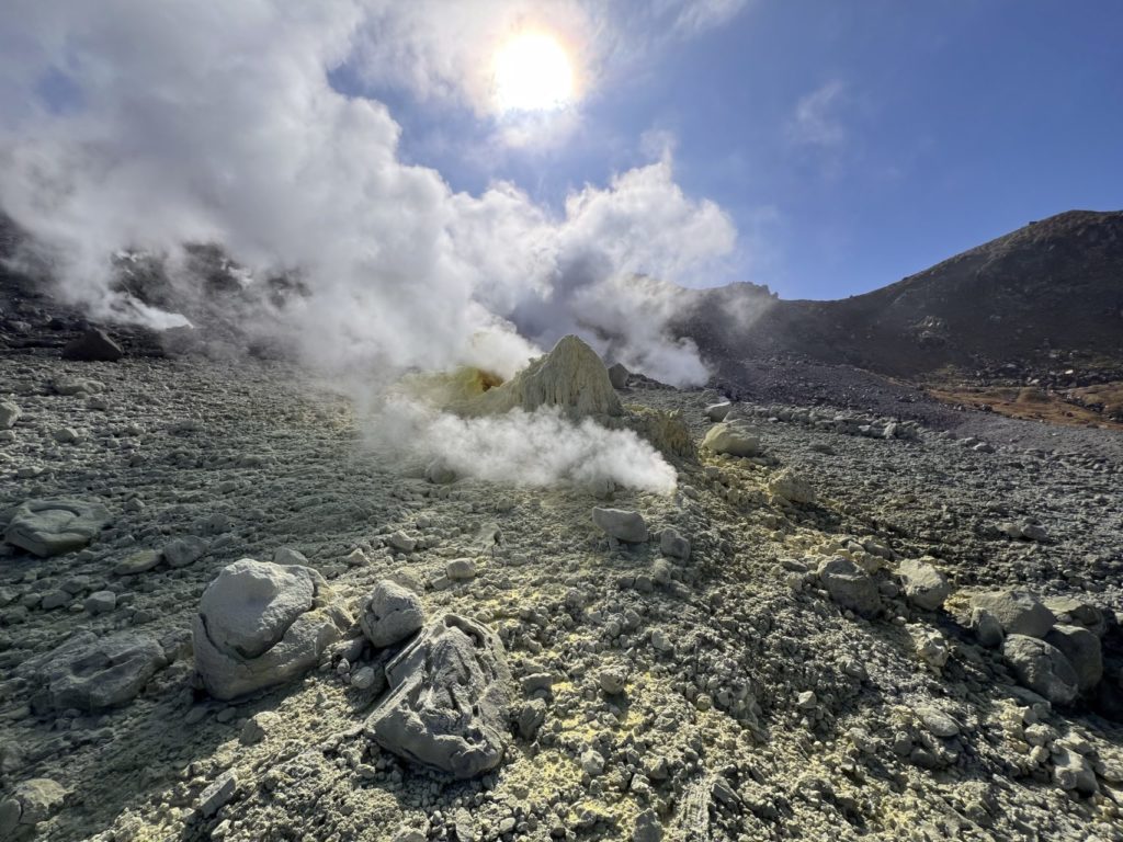 村おこしボランティア【中之島コース】での活動の様子
