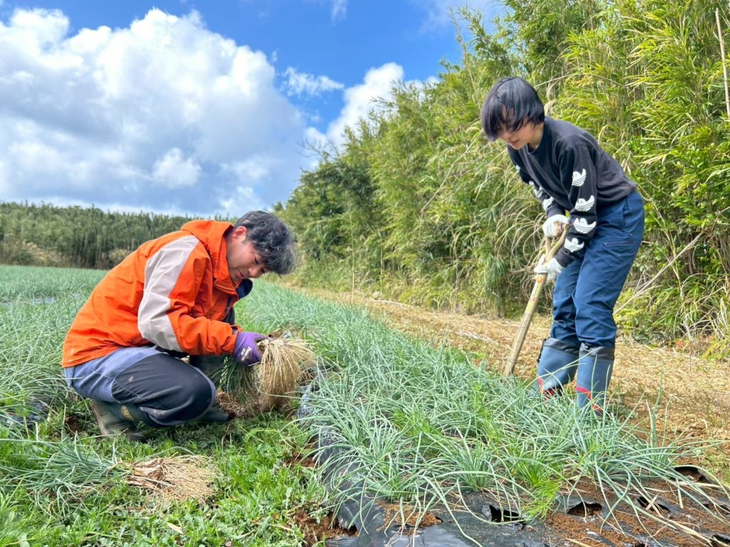 村おこしボランティア【中之島コース】での活動の様子